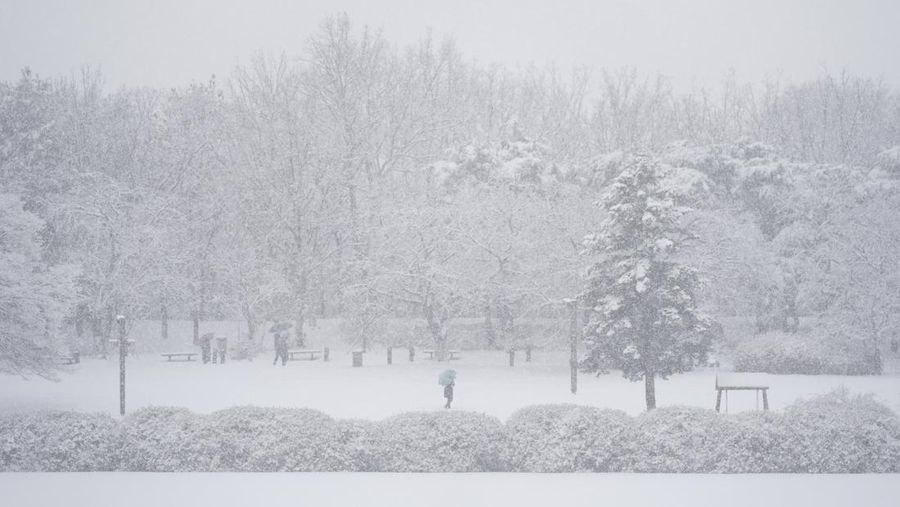 Visitors wearing traditional hanbok dress walk in the snow at Gyeongbokgung palace in central Seoul on December 30, 2023. (JUNG YEON-JE/AFP via Getty Images)