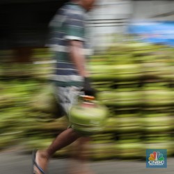 Sudah Berlaku Beli LPG 3 Kg Wajib Daftar, Begini Potretnya..