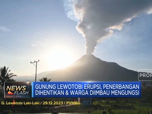  Gunung Lewotobi NTT Erupsi, Penerbangan Dihentikan