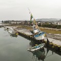 Salah Hitung, Tsunami Raksasa Hantam Jepang-Mayat Bergelimpangan