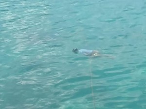 Terungkap, Identitas Mayat Terapung di Pelabuhan Tenau Kupang