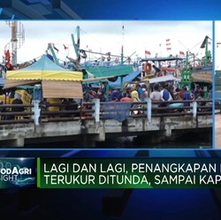 Video: Nelayan Khawatir Soal Penangkapan Ikan Terukur, Apa Solusinya?