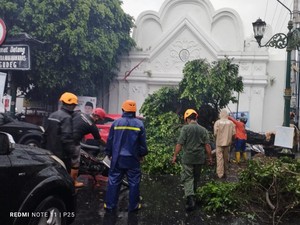 Tertimpa Pohon Tumbang di Plengkung Wijilan, Kusir Andong Opname