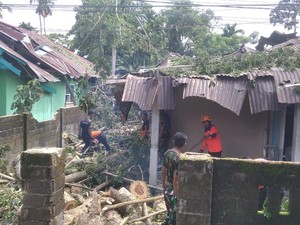 BPBD Palopo Catat 81 Bencana hingga Juli, Didominasi Pohon Tumbang-Banjir
