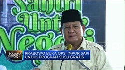 Video: Prabowo Buka Opsi Impor Sapi Untuk Program Susu Gratis