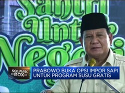 Video: Prabowo Buka Opsi Impor Sapi Untuk Program Susu Gratis