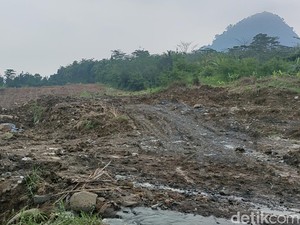 Punya Lahan Kosong? Begini Cara Pemanfaatannya Biar Jadi Sumber Cuan