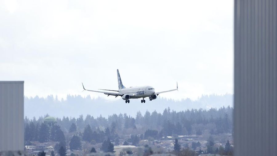 Maskapai penerbangan Amerika Serikat (AS) Alaska Airlines mengandangkan seluruh armada Boeing 737 Max 9 menyusul insiden pada salah satu unitnya. (AP Photo/Craig Mitchelldyer)