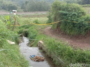 Sumbu Pendek Pembunuhan Danar selepas Nonton Bantengan di Pujon Malang