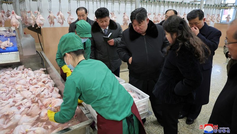 Pemimpin Korea Utara Kim Jong-un mengunjungi peternakan ayam Kwangchon dekat Pyongyang, Korea Utara, Minggu (7/1/2024). (via REUTERS/KCNA)