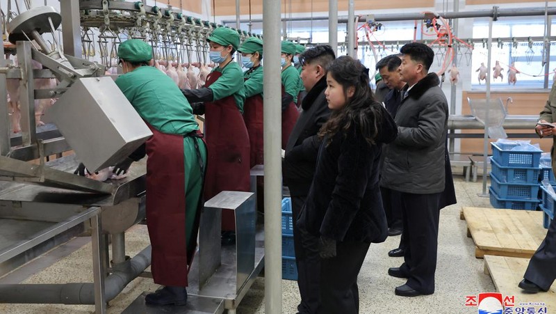 Pemimpin Korea Utara Kim Jong-un mengunjungi peternakan ayam Kwangchon dekat Pyongyang, Korea Utara, Minggu (7/1/2024). (via REUTERS/KCNA)