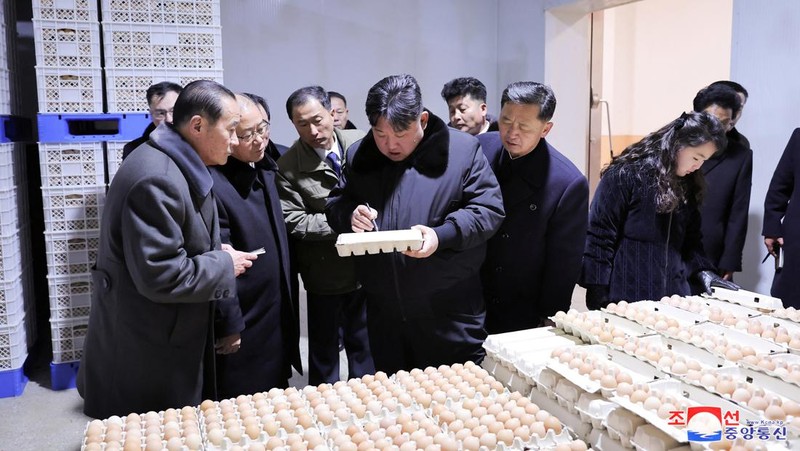 Pemimpin Korea Utara Kim Jong-un mengunjungi peternakan ayam Kwangchon dekat Pyongyang, Korea Utara, Minggu (7/1/2024). (via REUTERS/KCNA)