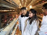Potret 'Gemoy' Kim Jong Un dan Putrinya Berkunjung ke Peternakan Ayam