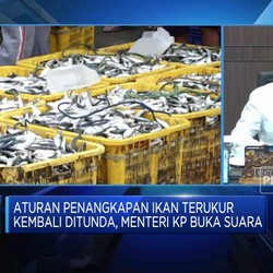 Video: Penerapan Aturan PIT Ditunda Lagi, Menteri KP Akui Belum Siap