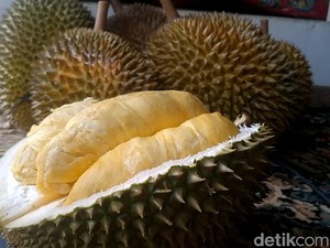 Hal yang Bikin Indonesia Lebih Pede Jadikan Durian sebagai Buah Nasional