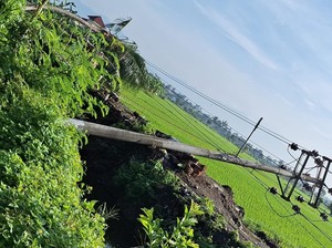 Tujuh Tiang Listrik Beton Tumbang gegara Pelebaran Parit