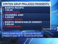 Harga Saham Anjlok, Kekayaan Prajogo Susut Rp 177 Triliun Dalam Sehari