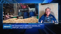 Video: Kedelai Langka, Perajin Tempe Dorong Produksi Kedelai GMO