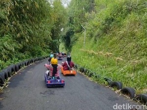 Sensasi Meluncur di Perbukitan Lembang dengan Luge Kart