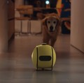 Pakai AI, Robot Bola Samsung Secanggih Star Wars