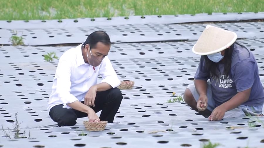 Program Peningkatan Penyediaan Pangan Berbasis Food Estate. (Tangkapan Layar Youtube Sekretariat Kabinet RI)