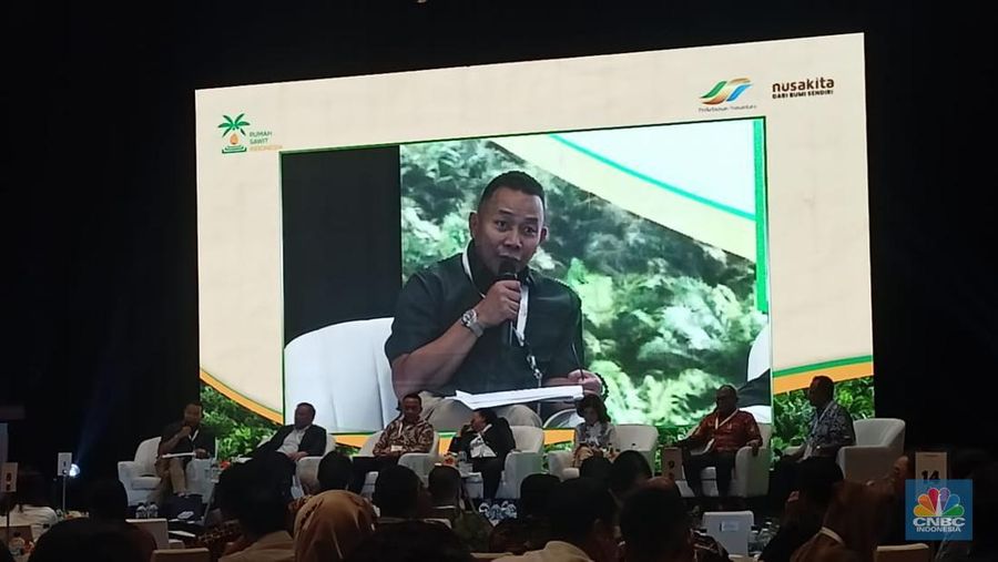 Direktur Penghimpunan dana Badan Pengelola Dan Perkebunan Kelapa Sawit (BPDPKS) Sunari. (CNBC Indonesia/Ferry Sandi)