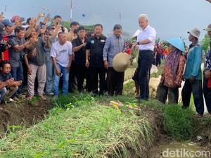 Dicurhati Petani Bawang soal Pupuk, Ganjar Jawab Subsidi Sempat Dikurangi