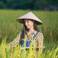 RI Masih Ribut Food Estate, China Sudah Ngegas Duluan, Ini Buktinya