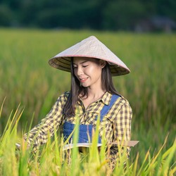 RI Masih Ribut Food Estate, China Sudah Ngegas Duluan, Ini Buktinya
