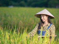 RI Masih Ribut Food Estate, China Sudah Ngegas Duluan, Ini Buktinya