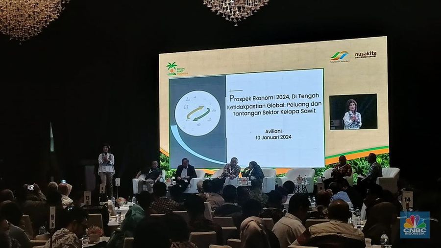 Pengamat Ekonomi Aviliani dalam Refleksi Industri Sawit 2023 dan Tantangan Masa Depan di Jakarta, Rabu  (10/1/2024). (վ/Ferry Sandi)