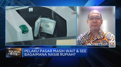 Video: Selain The Fed, Ini Sentimen Yang Kuat Pengaruhi Rupiah di 2024