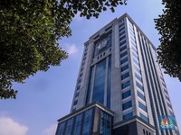 Kemenkeu Bocorkan Rencana Rilis Dimsum & Kangaroo Bond