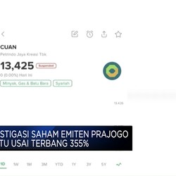 BEI Investigasi Saham Emiten Prajogo Pangestu Usai Terbang 355%