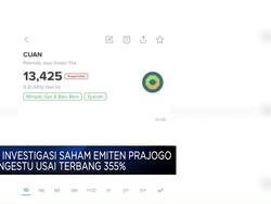 BEI Investigasi Saham Emiten Prajogo Pangestu Usai Terbang 355%