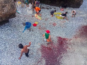 Jutaan Ikan Mati Massal di Filipina, Disebut Tanda Kedatangan Bencana