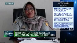 Krisis Kedelai Mengancam! Kementan Genjot Produksi di 10 Provinsi
