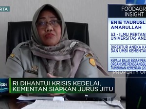 Krisis Kedelai Mengancam! Kementan Genjot Produksi di 10 Provinsi