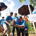 Aksi Dekarbonisasi, Program Hutan Pertamina Tanam 6 Juta Pohon