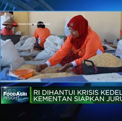 Video: RI Mau Swasembada Kedelai? Persoalan Ini Wajib Diselesaikan!