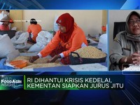 Video: RI Mau Swasembada Kedelai? Persoalan Ini Wajib Diselesaikan!