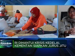 Video: RI Mau Swasembada Kedelai? Persoalan Ini Wajib Diselesaikan!