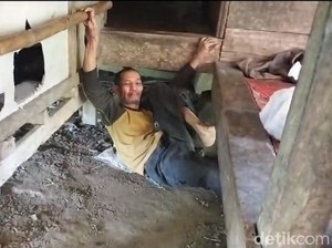 Cerita 1 Keluarga Lumpuh di Lebak: Bertahan Hidup Andalkan 1 Orang