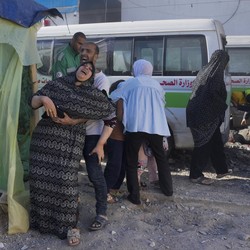 Warga Gaza Konsumsi Makanan Burung, Kelaparan Parah