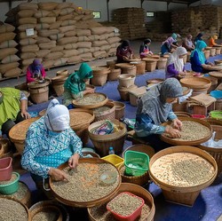 Terungkap! Wirausaha Jadi 'Jalan' Warga RI untuk Sejahtera