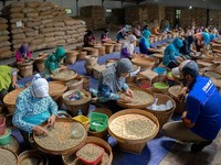 Bukti Nyata Holding UMi dalam Mendorong Inklusi Keuangan RI