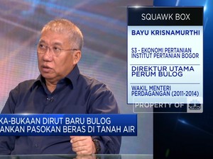 Video:Dirut Baru Bulog Buka-bukaan Soal Stok, Harga & Impor Beras 2024