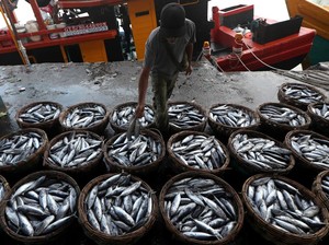 Harga Sembako Jogja Hari Ini 2 November 2024: Tongkol Rp32 Ribu Sekilo
