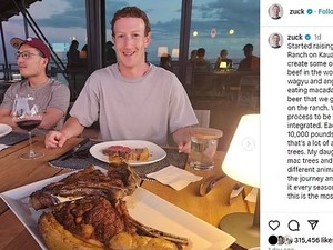 Mark Zuckerberg Bangun Peternakan Sapi Wagyu Senilai Rp 4,2 T