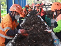 Bos Pupuk Indonesia Buka-bukaan Soal Rencana IPO, Ini Bocorannya